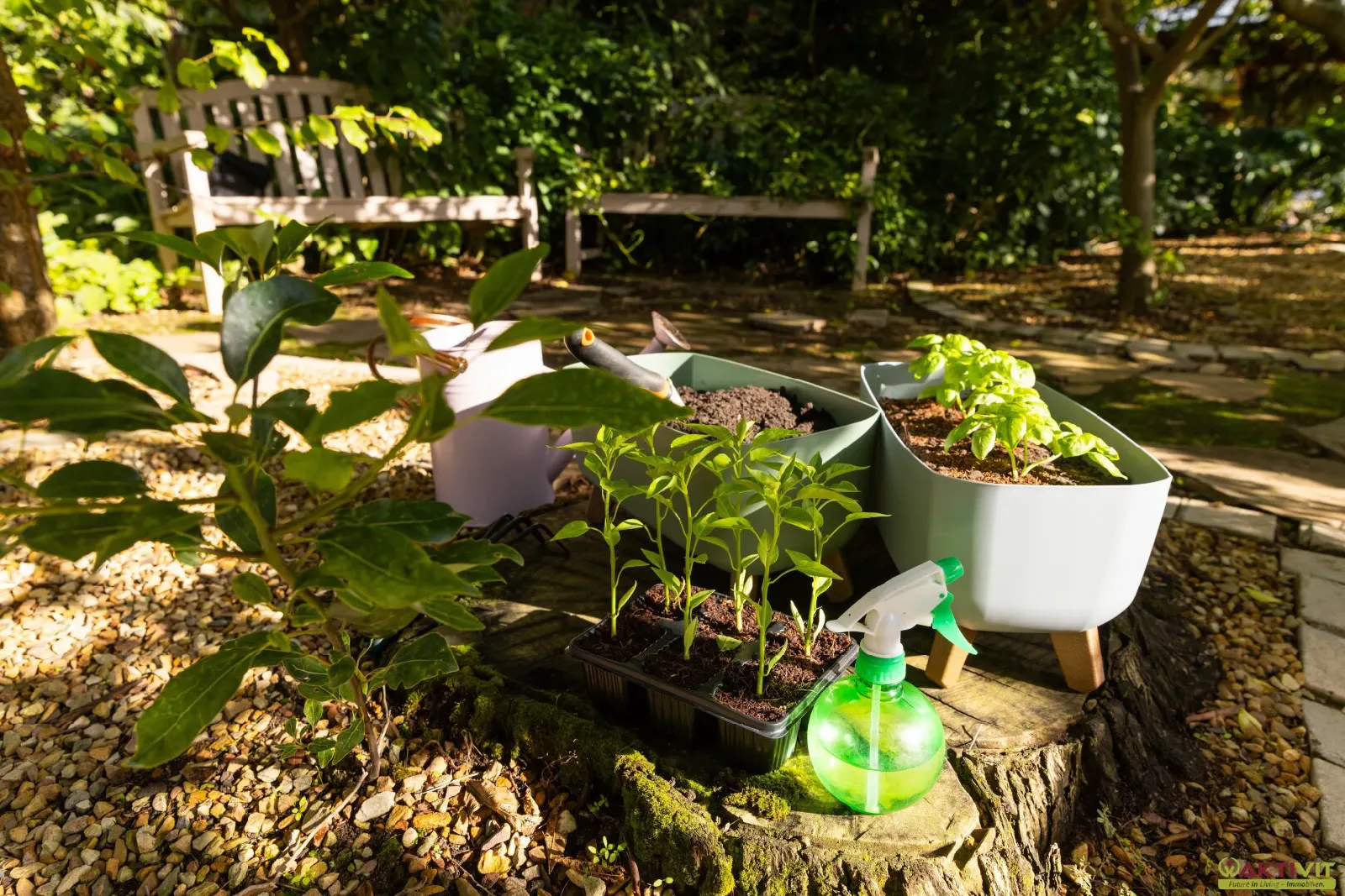 Kleingarten zur Pacht. - Neue Gartenanlage in Planung: Jetzt vormerken lassen!